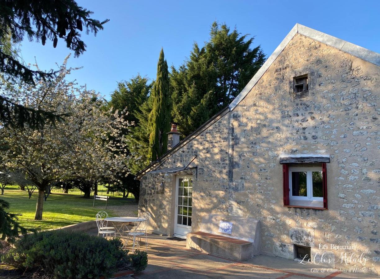 Chambres D'Hotes Les Bournais - Le Clos Milady L'Ile-Bouchard Exterior foto
