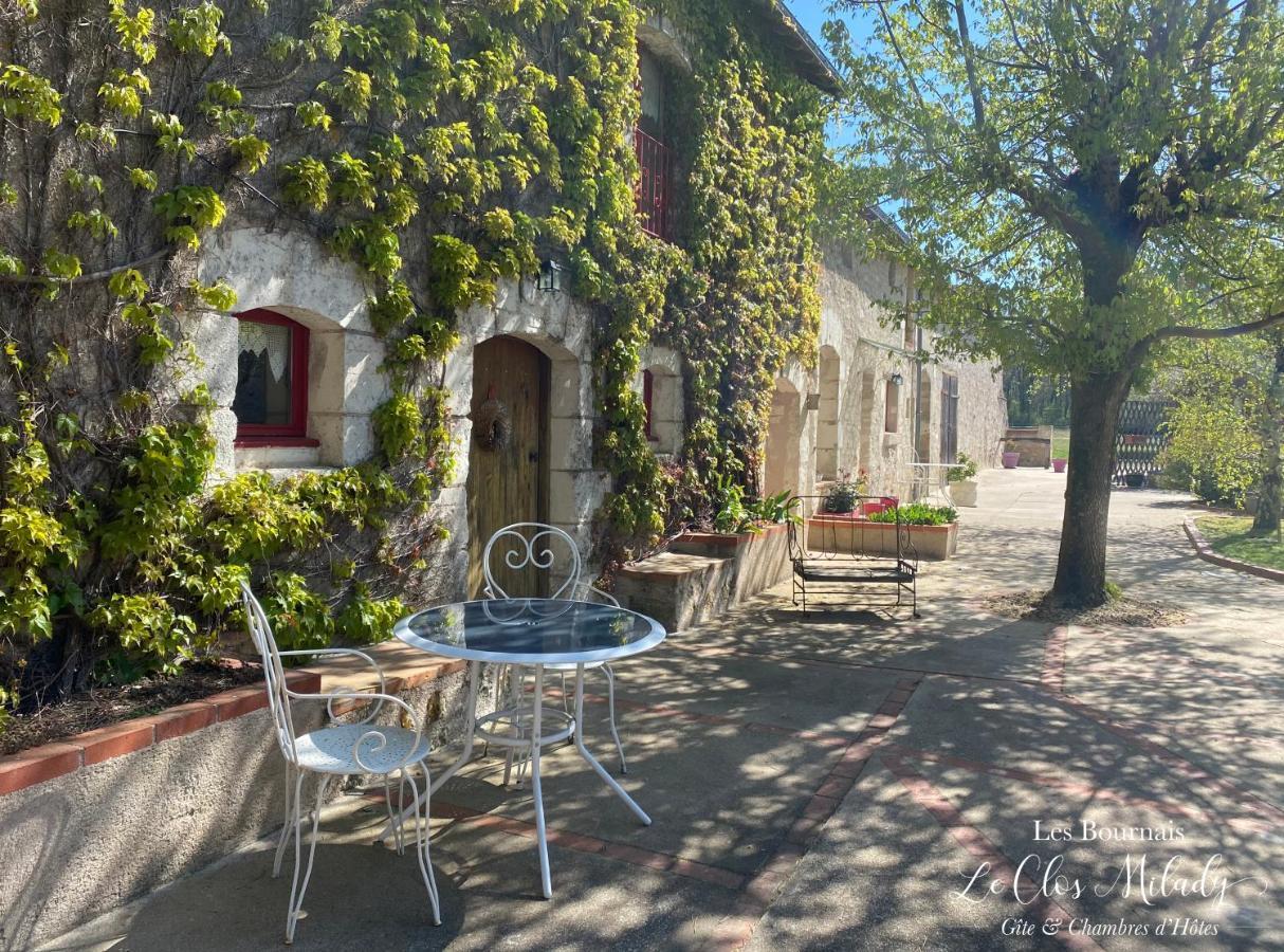 Chambres D'Hotes Les Bournais - Le Clos Milady L'Ile-Bouchard Exterior foto