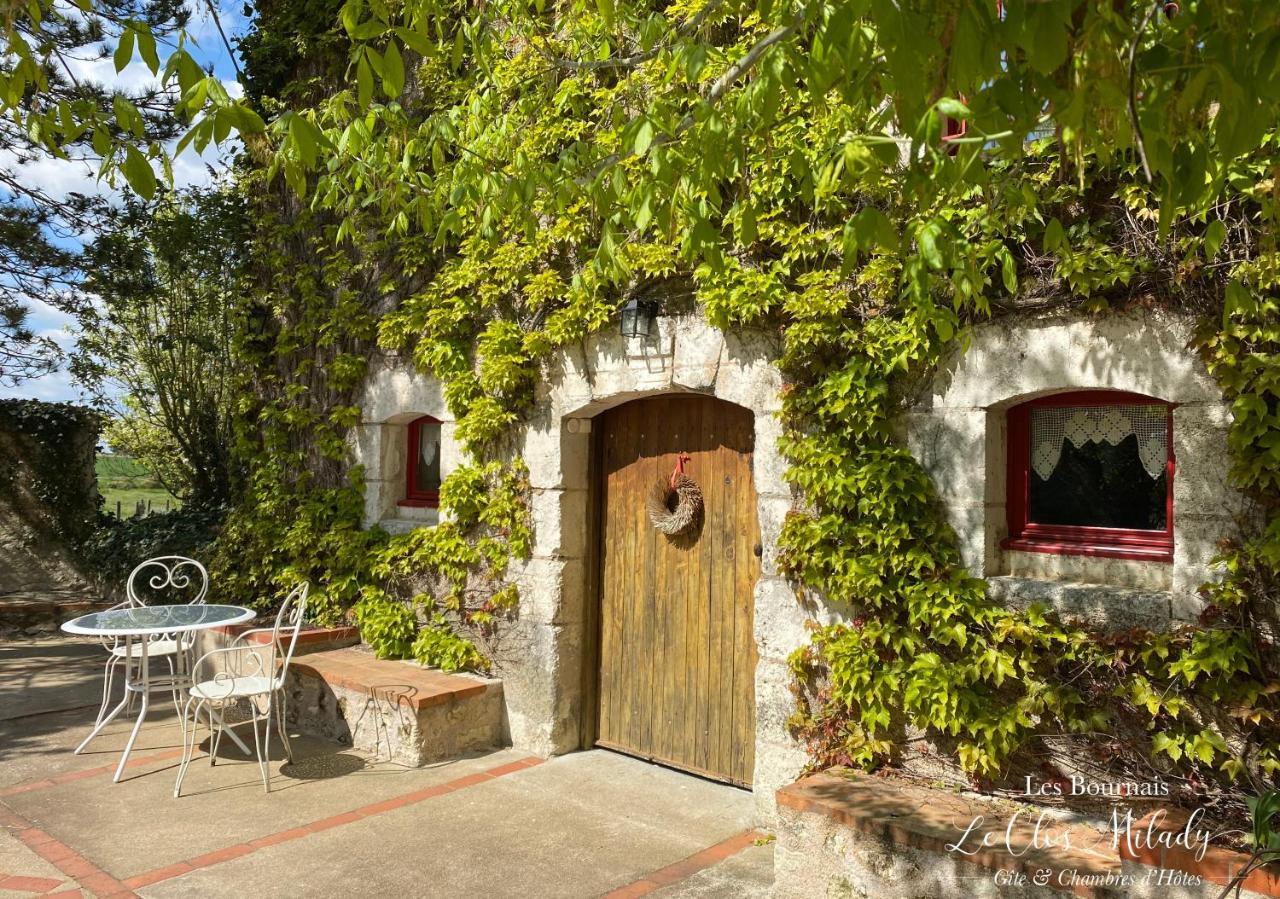 Chambres D'Hotes Les Bournais - Le Clos Milady L'Ile-Bouchard Exterior foto