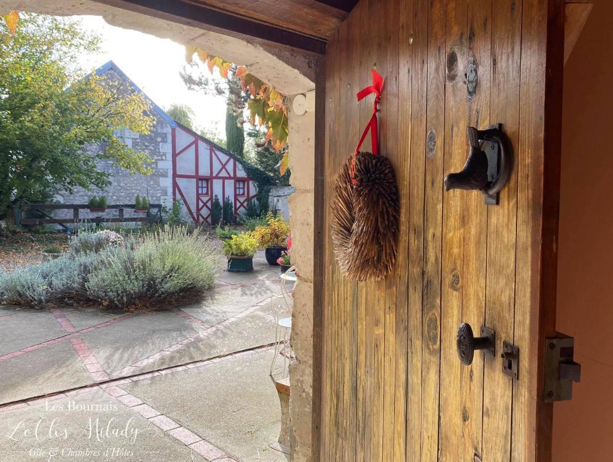 Chambres D'Hotes Les Bournais - Le Clos Milady L'Ile-Bouchard Exterior foto