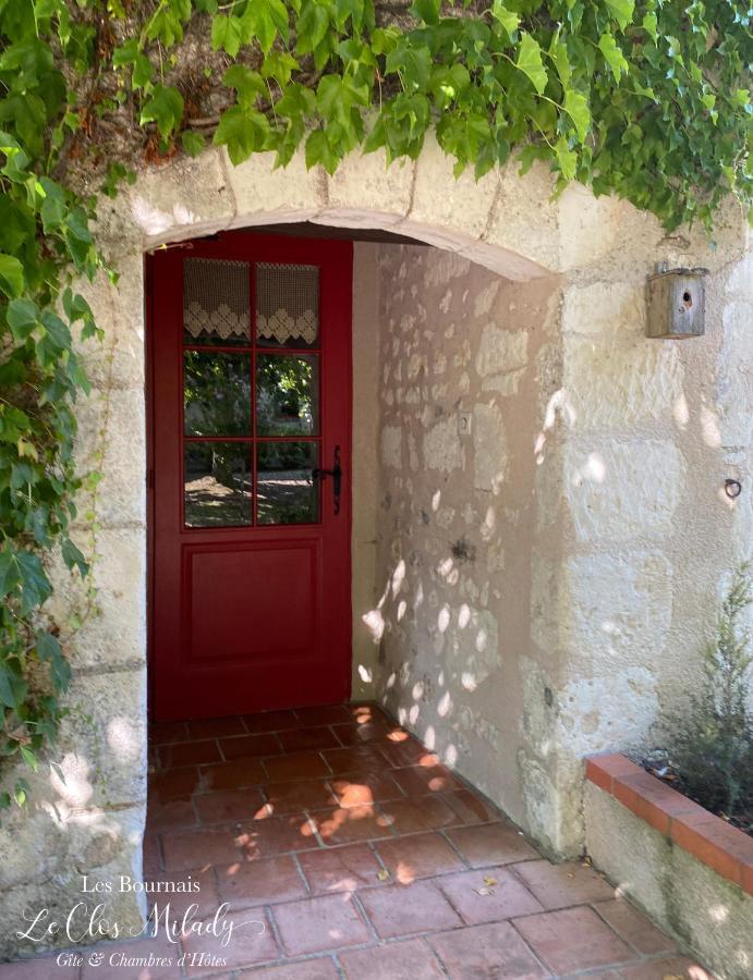Chambres D'Hotes Les Bournais - Le Clos Milady L'Ile-Bouchard Exterior foto