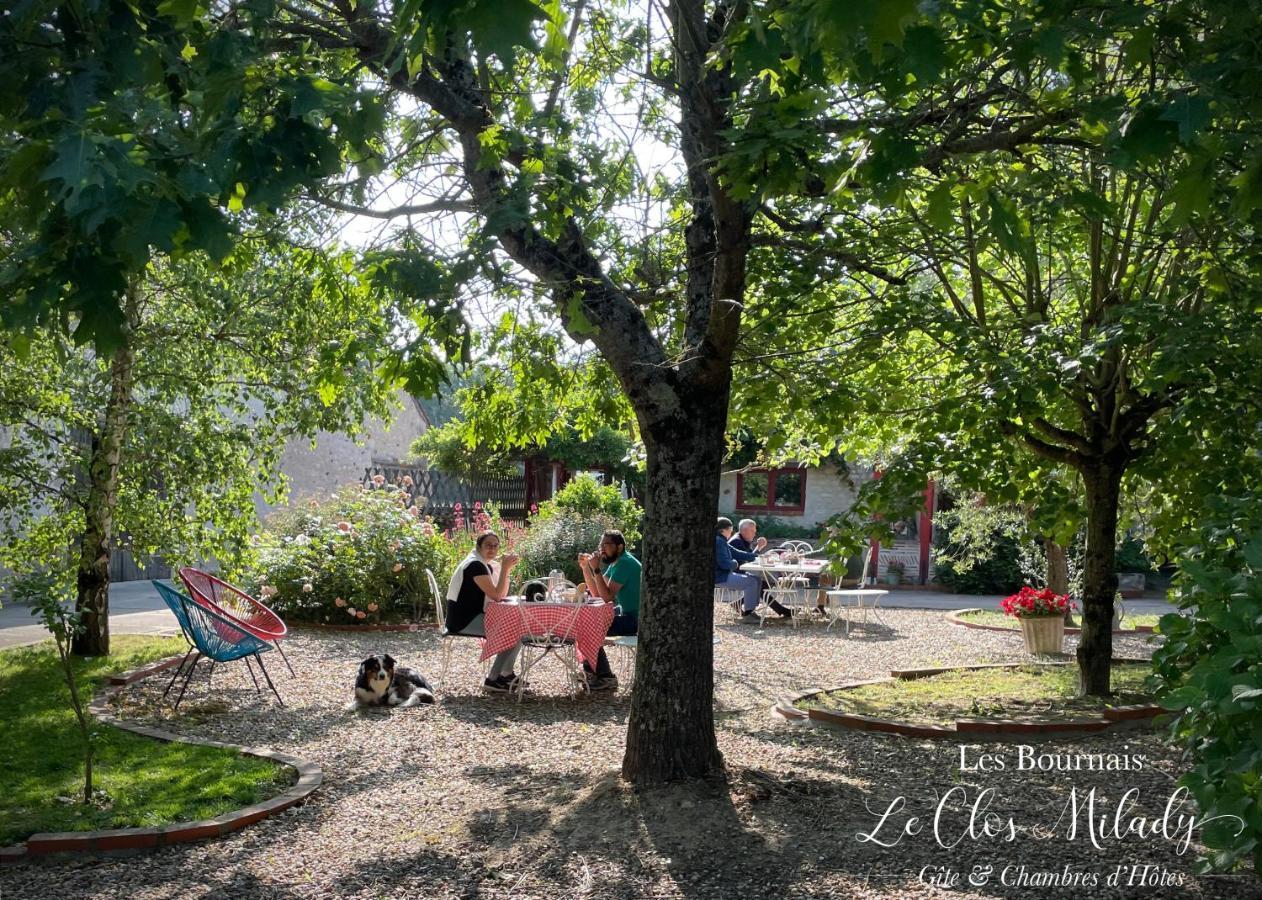 Chambres D'Hotes Les Bournais - Le Clos Milady L'Ile-Bouchard Exterior foto